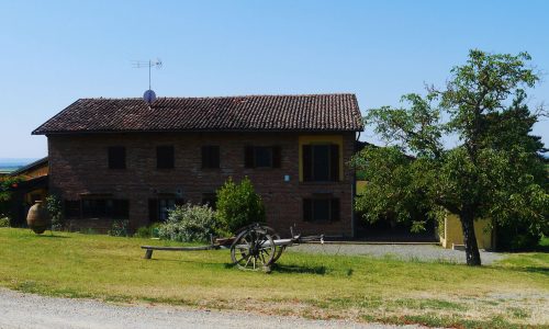 ospitaly4