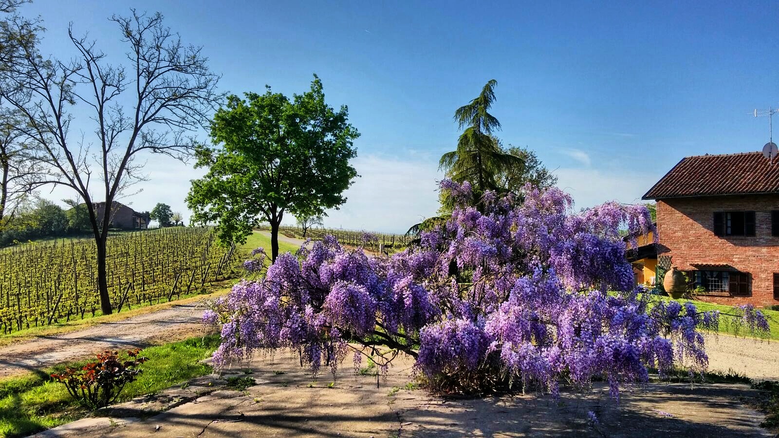 Primavera-colle