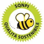 SQNP-