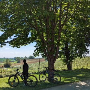 Bike tour